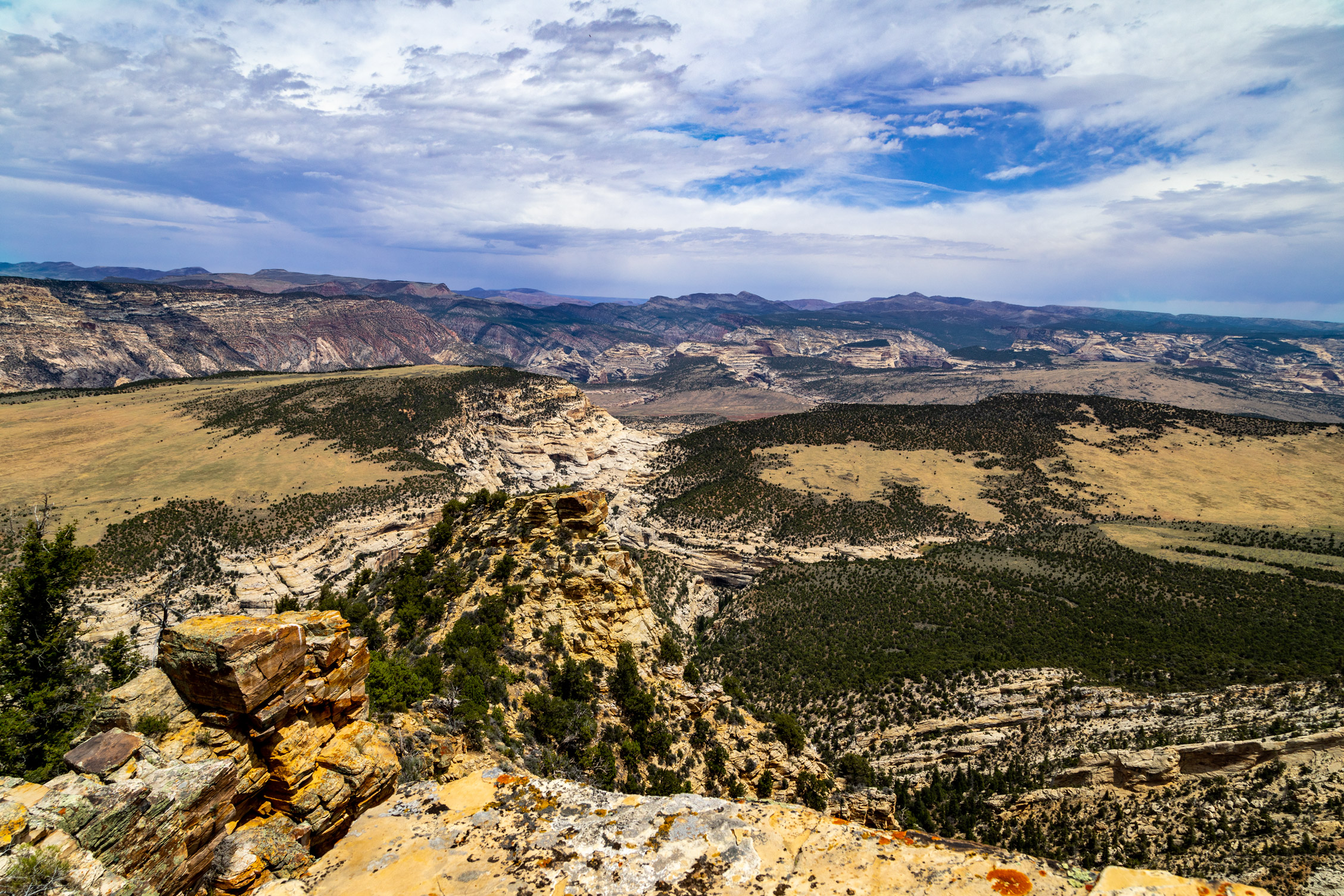 Canyon Overlook Dinosaur National Monument